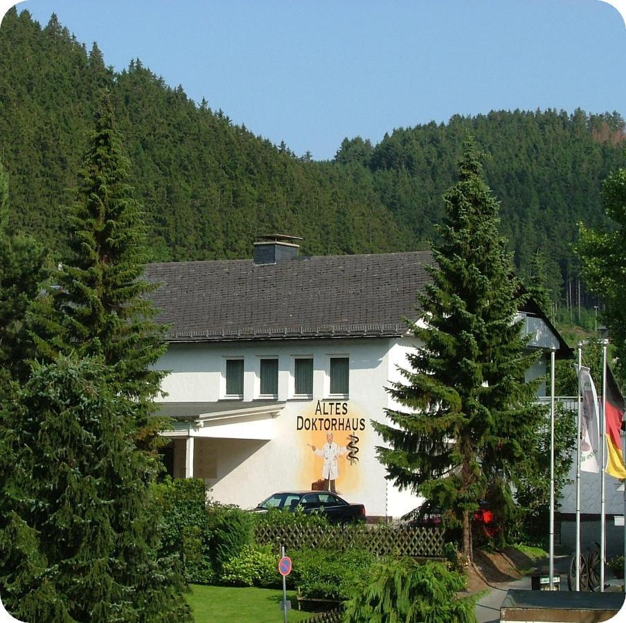 Altes Doktorhaus - Hotel Garni Willingen (Upland) Exterior foto