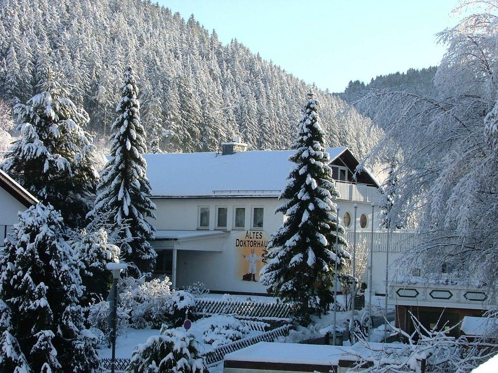 Altes Doktorhaus - Hotel Garni Willingen (Upland) Exterior foto